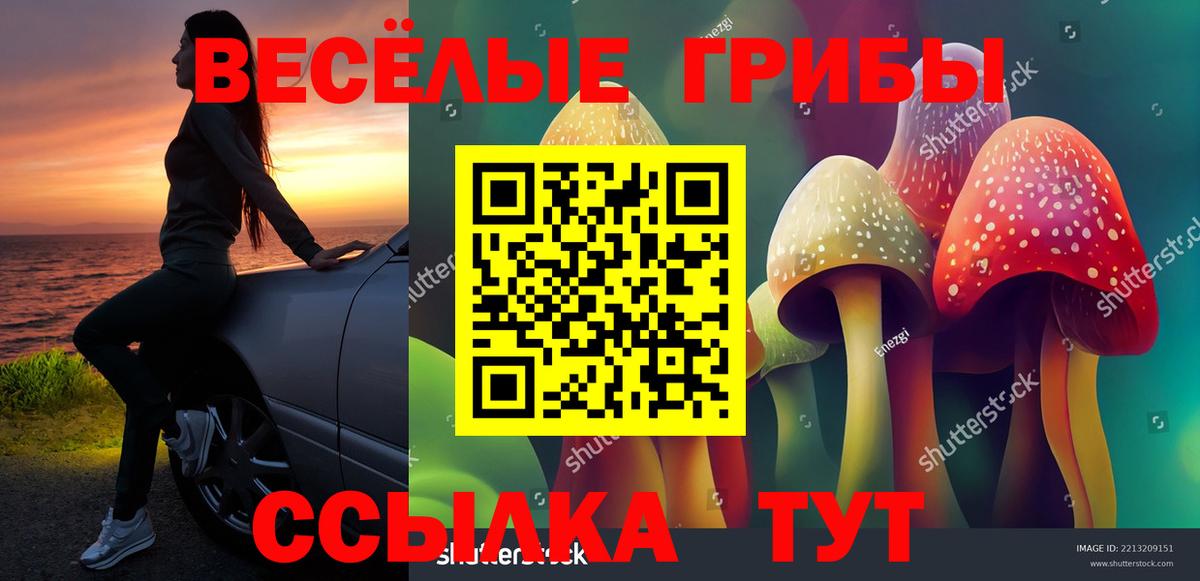 Псилоцибиновые грибы Cubensis Новотроицк